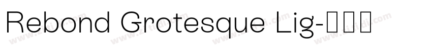 Rebond Grotesque Lig字体转换 Rebond Grotesque Lig字体转换